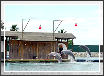 Sentosa with Dolphin Lagoon