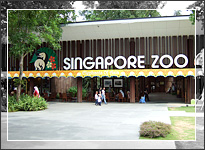 Singapore Zoo Singapore